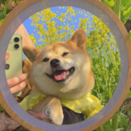 成龙看好老爹要拉跨了