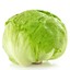 Haunted Lettuce
