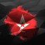 LETYCHIY STARLEX