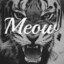 ✪ Meow™