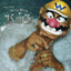 Bling King Wario's avatar