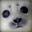 Suddenly, A Seal