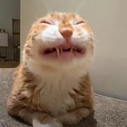 TheOyester