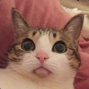 Red（固定赢对）