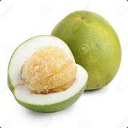 Sumo_zápasník