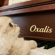 oxalis