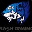 FLASH GAMING-FILIPE