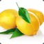 limonin