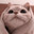 AgentCat