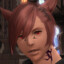DIR EN GAY