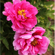 每天喝点西北风