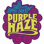 PurpleHAZE