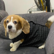 𖤐 JAKEY BAKEY 𖤐