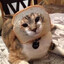 Toast