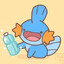 Mudkip