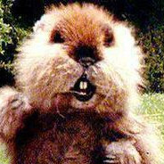 Elusive Gopher