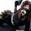 Racoon