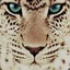~[S]upreme !