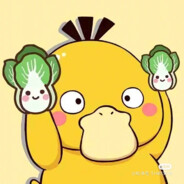 优雅的聪明耗子