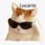 lucario