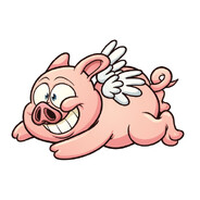 PIG (｀（●●）´)