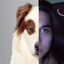 Xx_dog_blog_xX