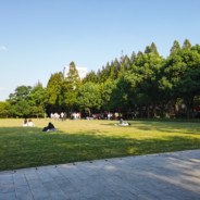 昨夜闲潭梦落花