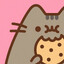Pusheen