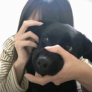 治胃炎我只相信马岱