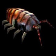 [38.] OberstStockwerk