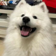 小欣不可以动心.