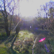 Avatar snapshot