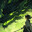 Arboris