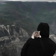 扣你西瓦沸羊羊桑