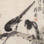 MayBird