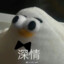 雀带人间