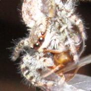 Ladidaaa.... - steam id 76561197970989155
