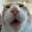goob