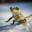 GeckoVerglas