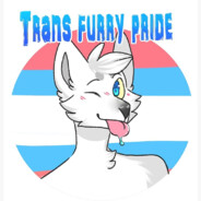 Furry_Daddy :3 #Transrights #BLM