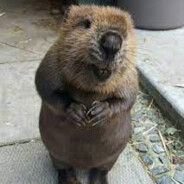 Avatar InterB1t_[*_*]