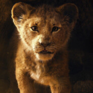 泰迪爱吃鱼骨头