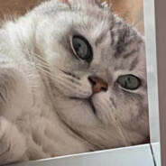 当我队友就别想赢