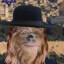 Jewbacca