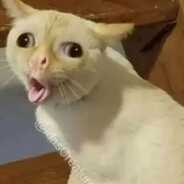 vubuk