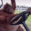 monke