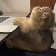 永不败诉张益达