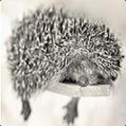 hedgehog.bu