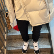 我在人间看风景