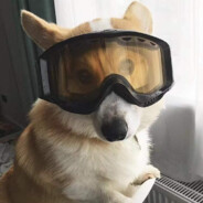 塔寨村委会主任